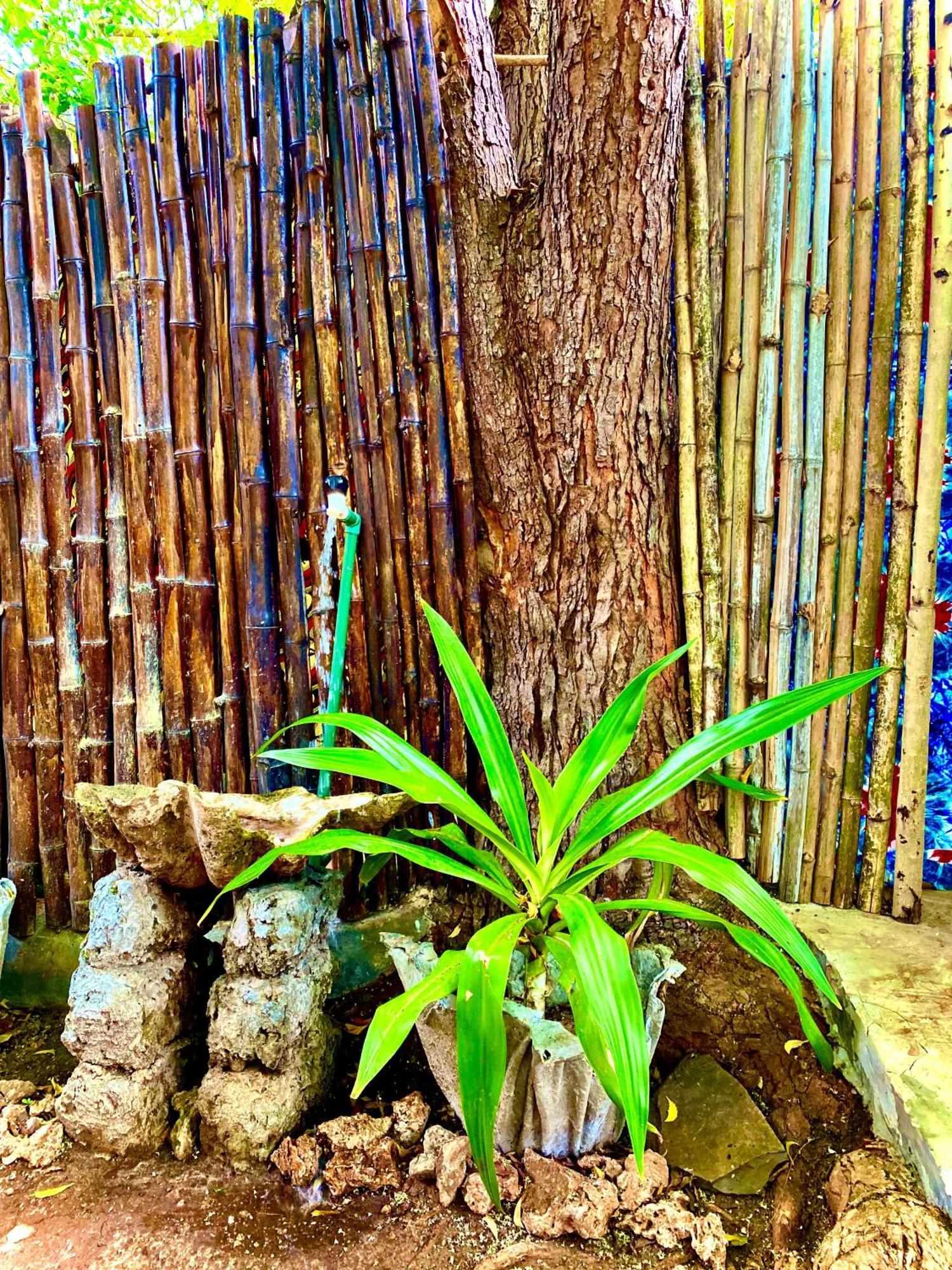African Hut Tiny Cottage Diani Beach Luaran gambar